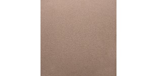NOISETTE - Grain